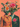 Flower lovers- Collage vintage