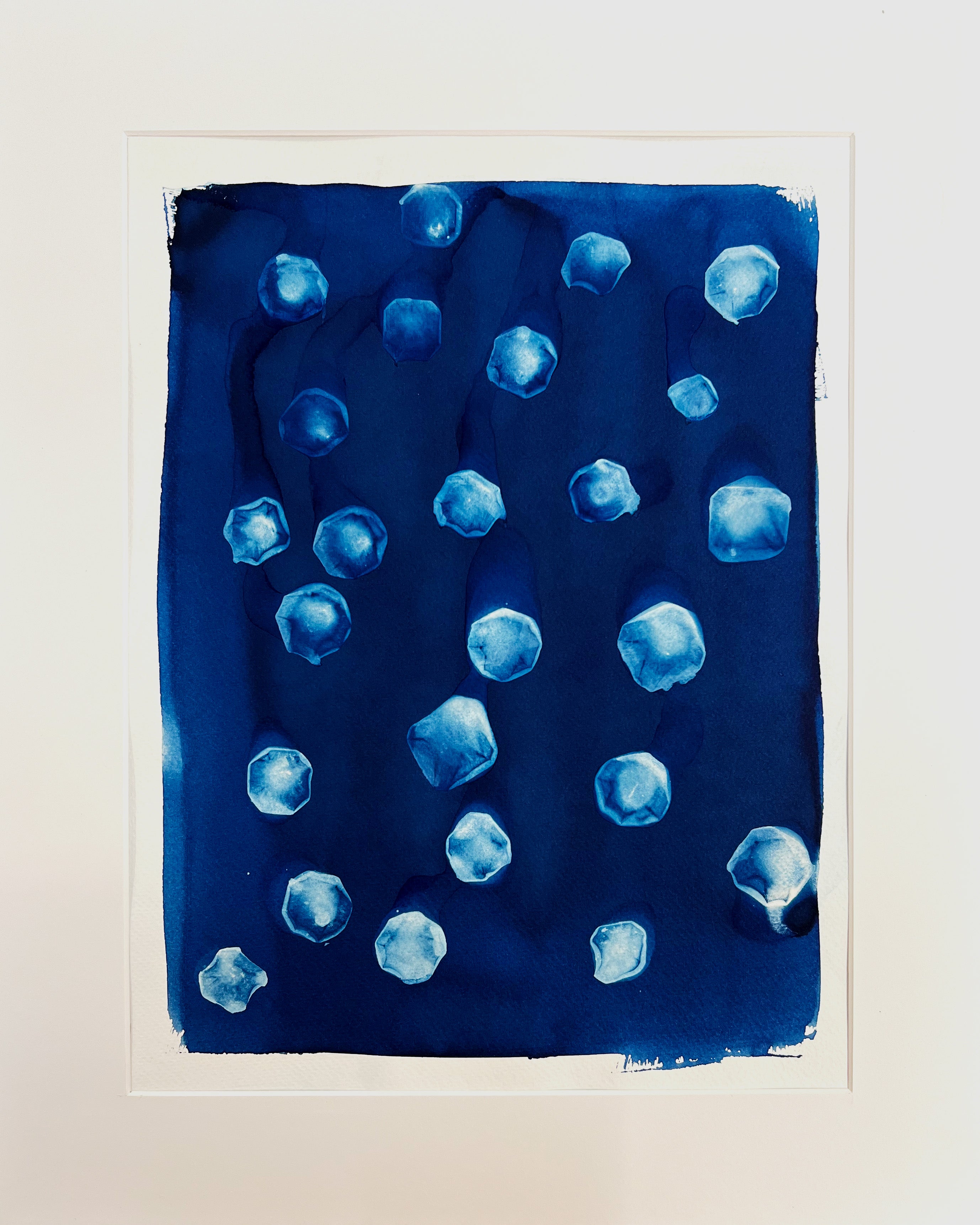 "Cabochons", Brigitte Morel, cyanotype