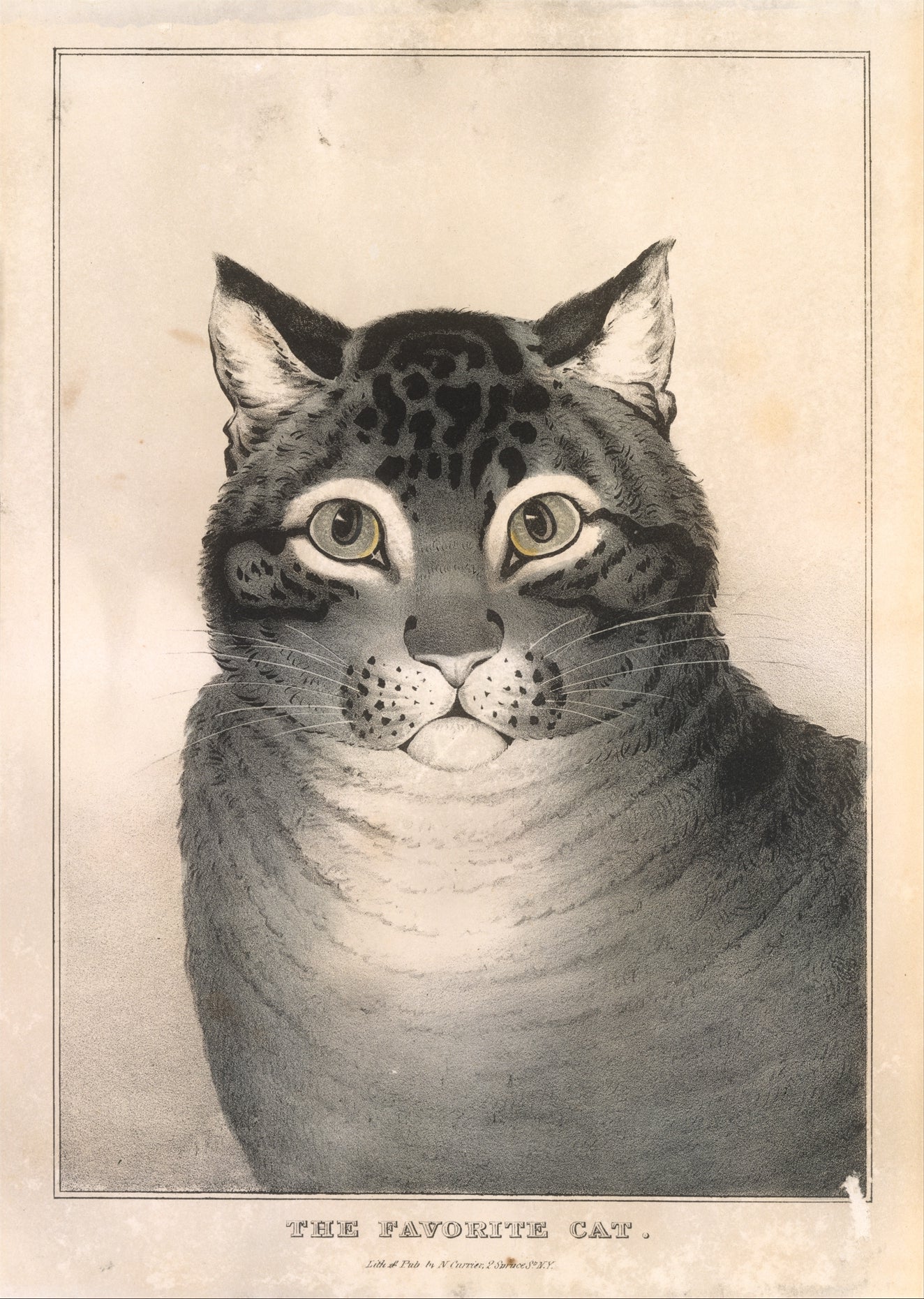 The favorite cat - Lithographed and published by Nathaniel Currier, 1838