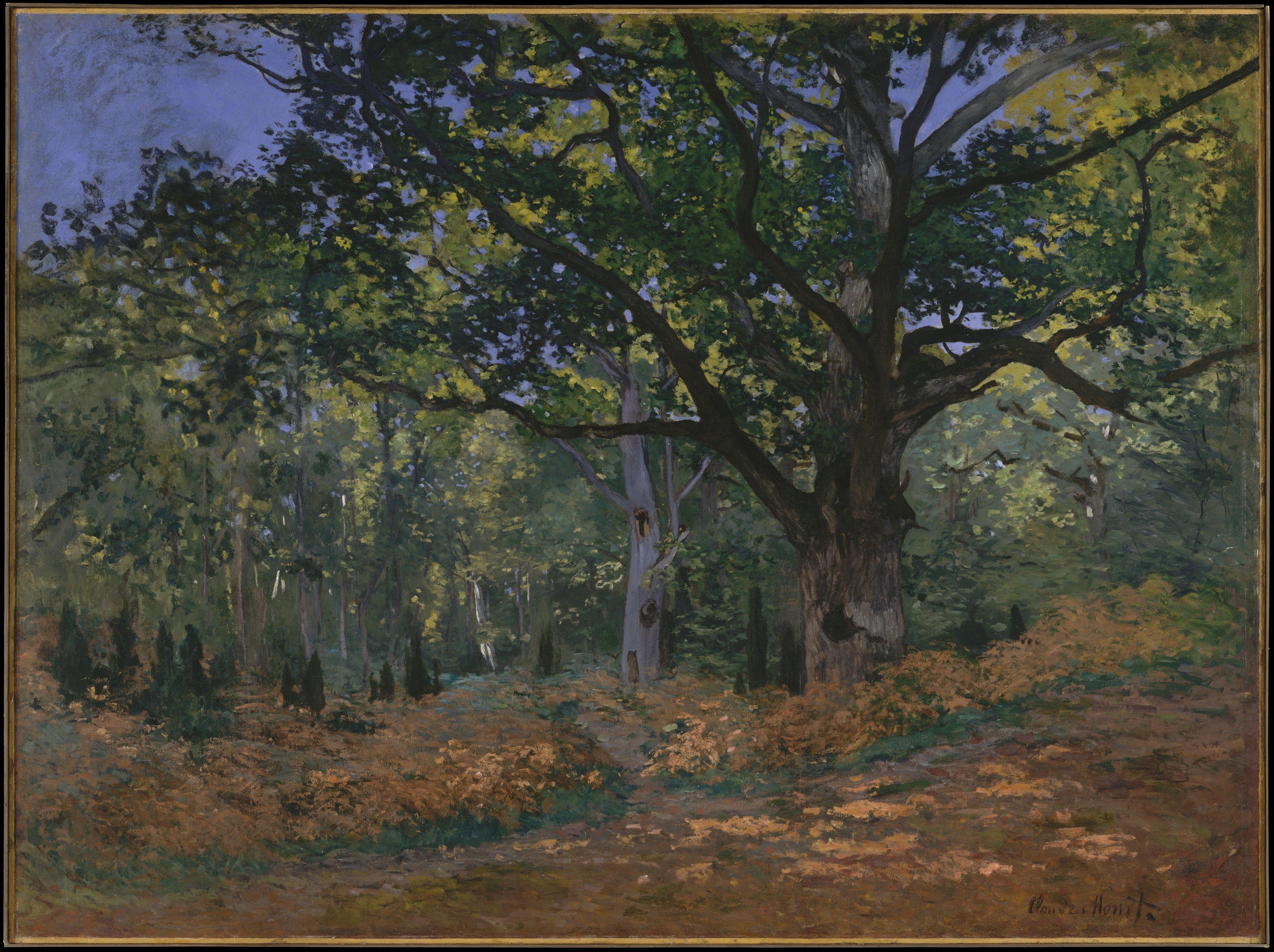 Monet Claude - Le Chêne Bodmer dans la forêt de Fontainebleau