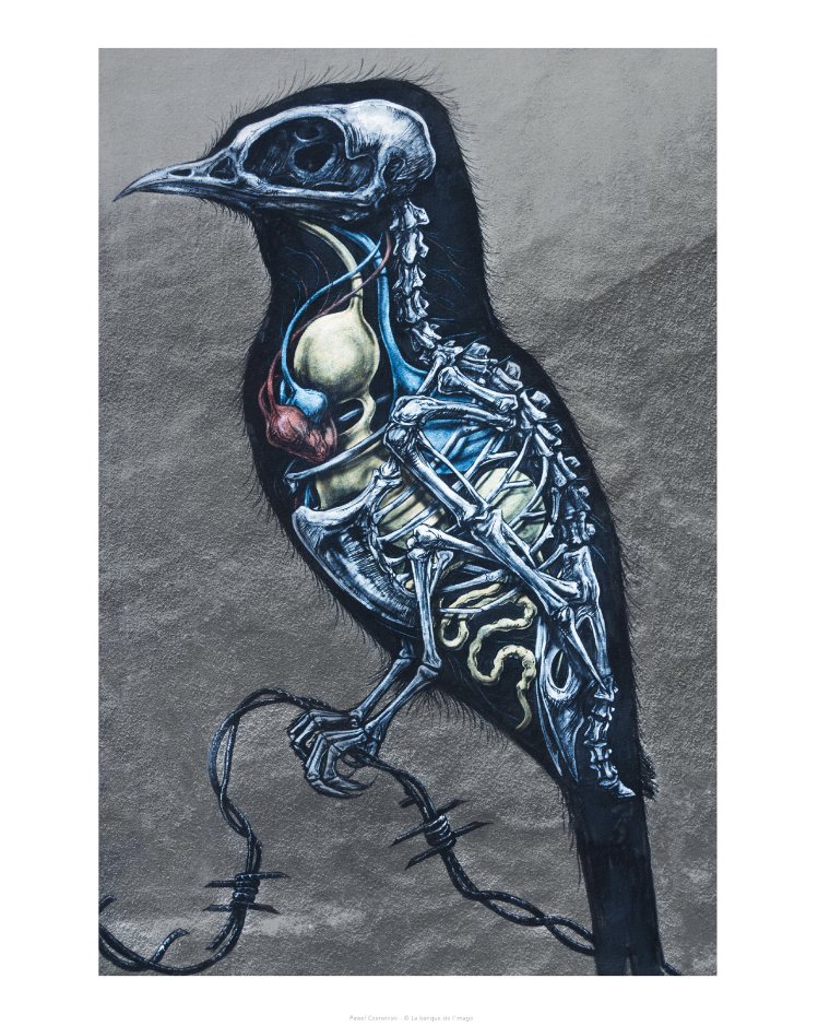 Street Art - Bird