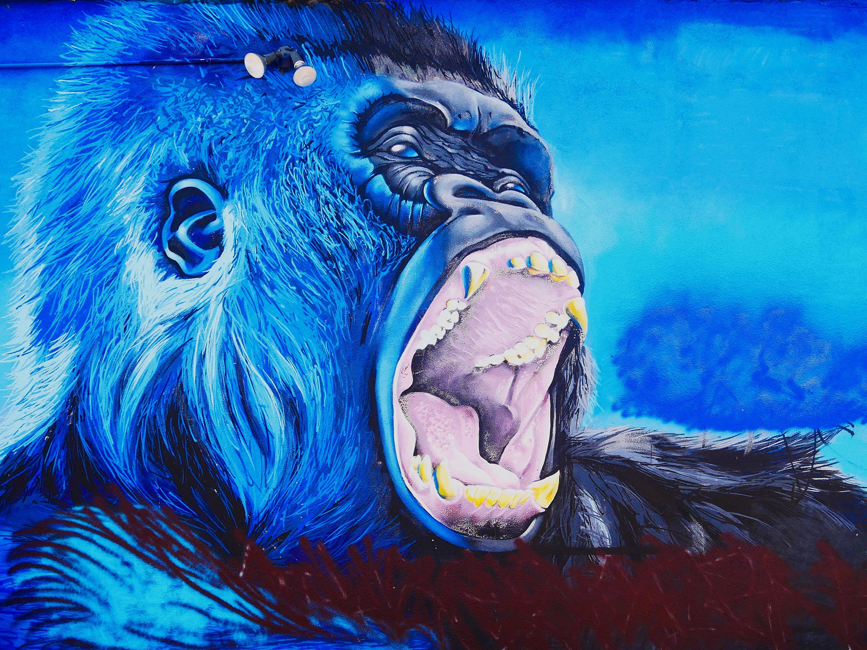 Street Art - Gorille