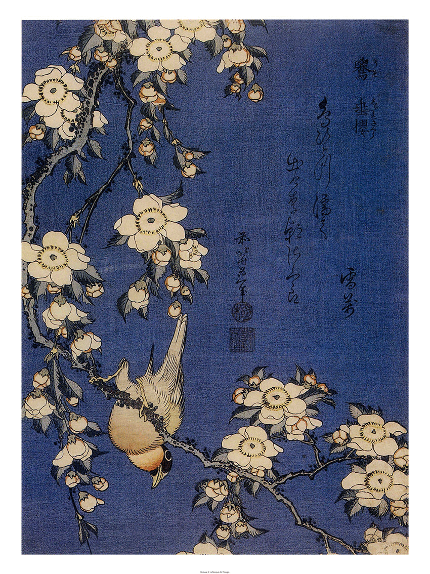 Hokusaï- Le bouvreuil et le cerisier