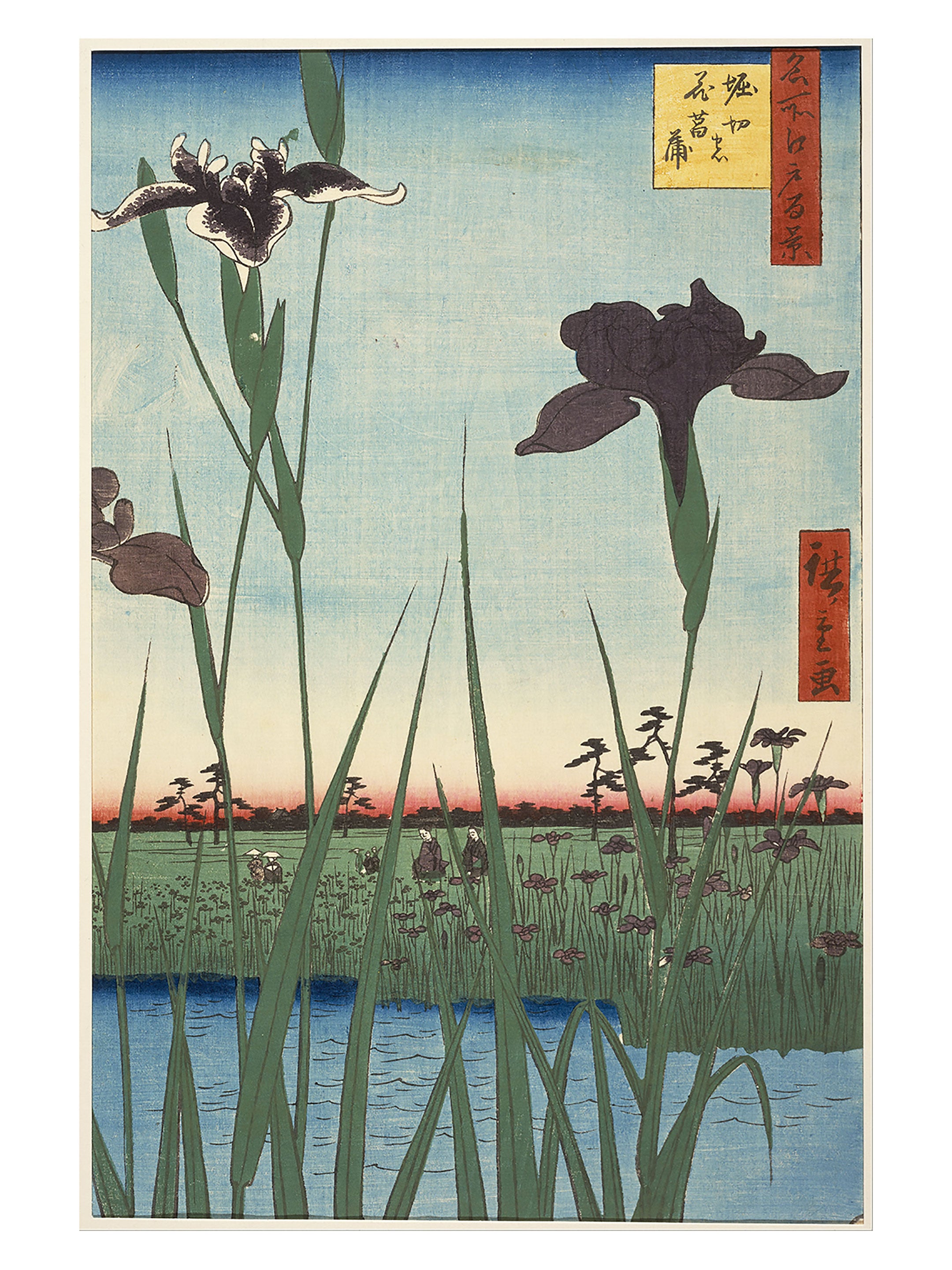 Hiroshige Utagawa - Les iris