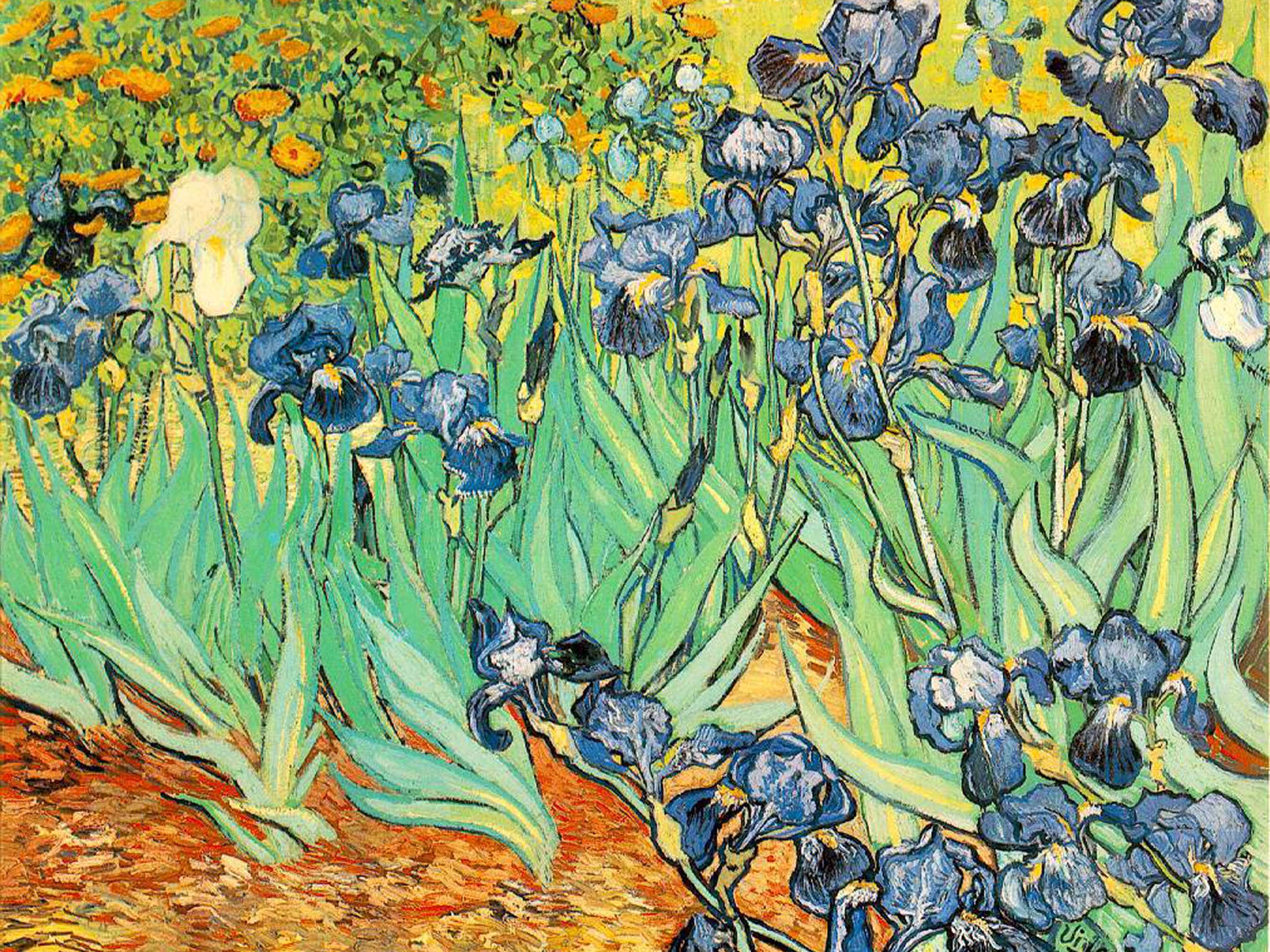 Van Gogh Vincent - Irises