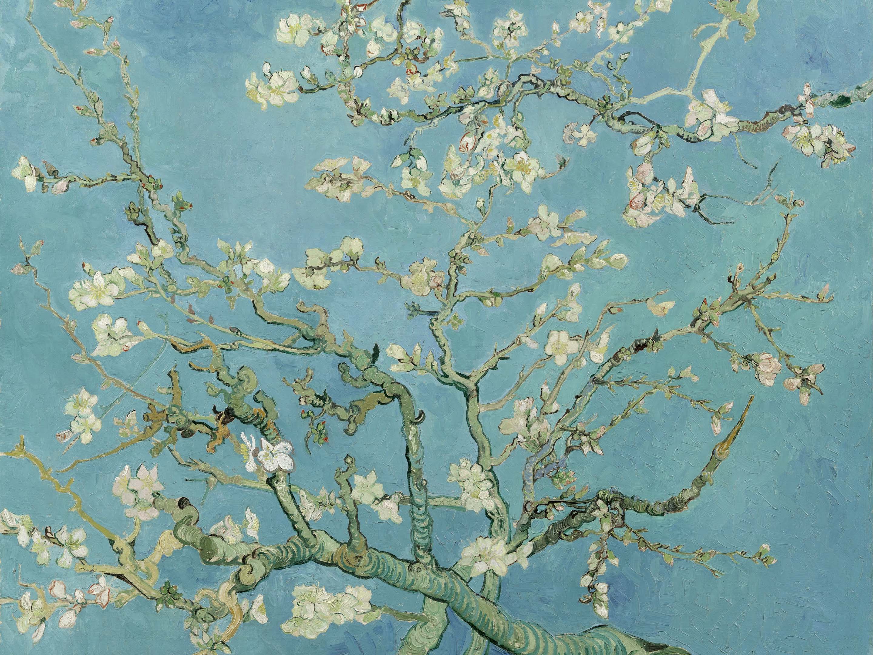 Van Gogh Vincent - Almond Blossom