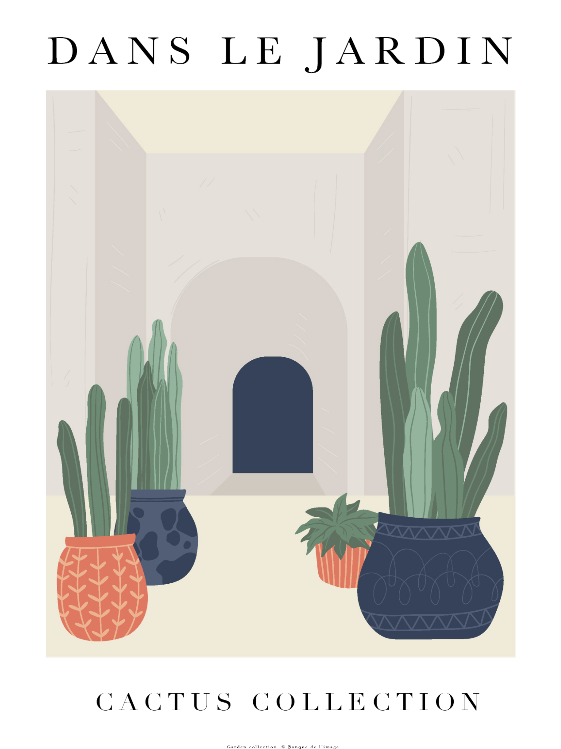 Dans le jardin - Cactus Collection