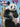 Street Art - Panda