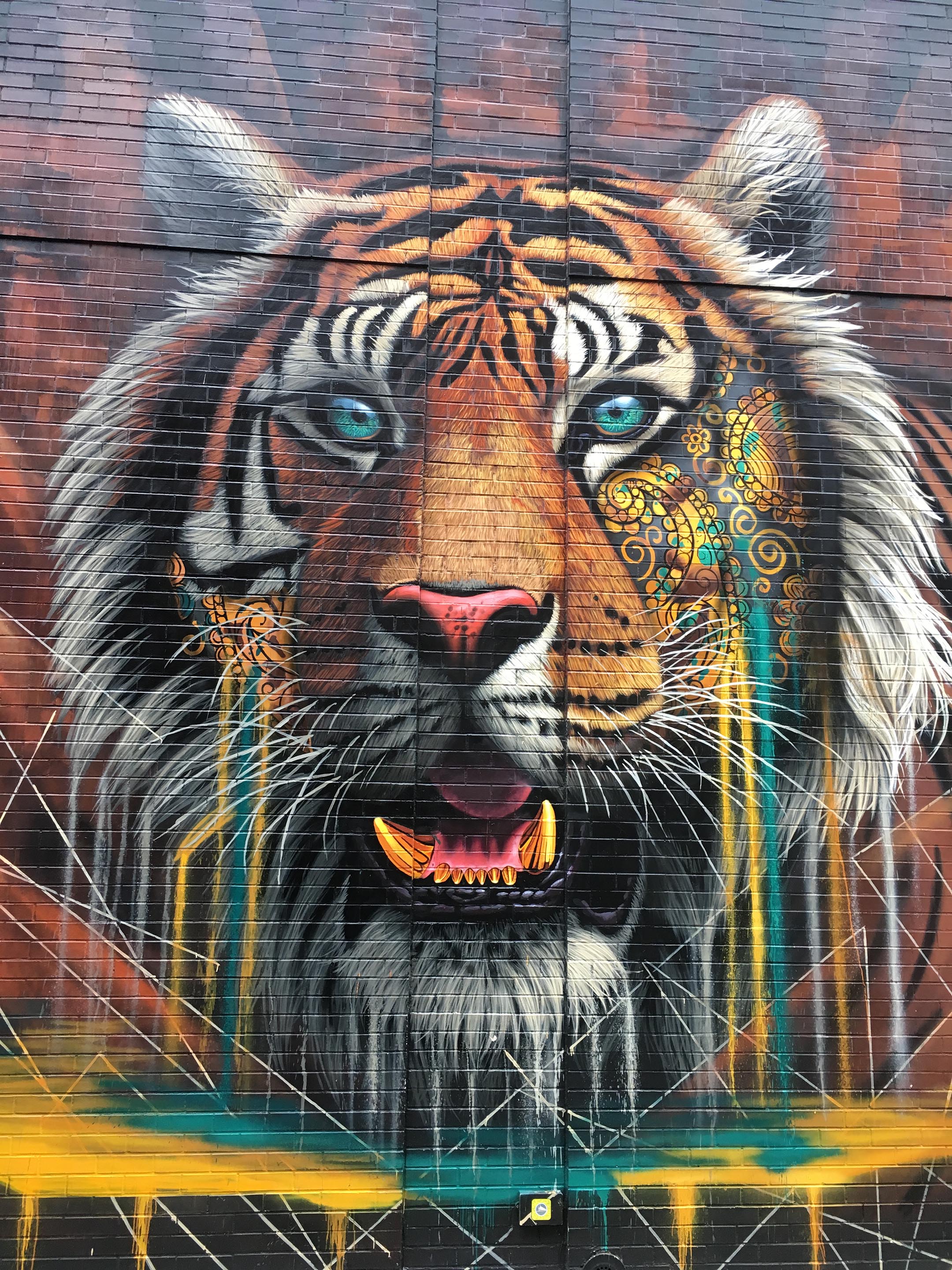 Street Art - Tigre
