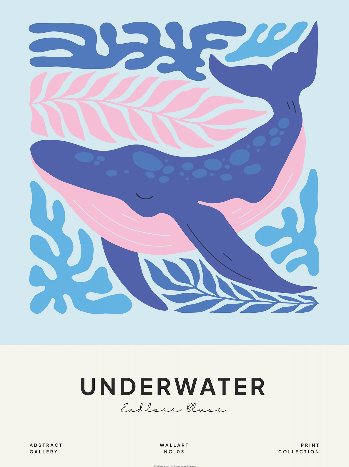 Underwater - Baleine