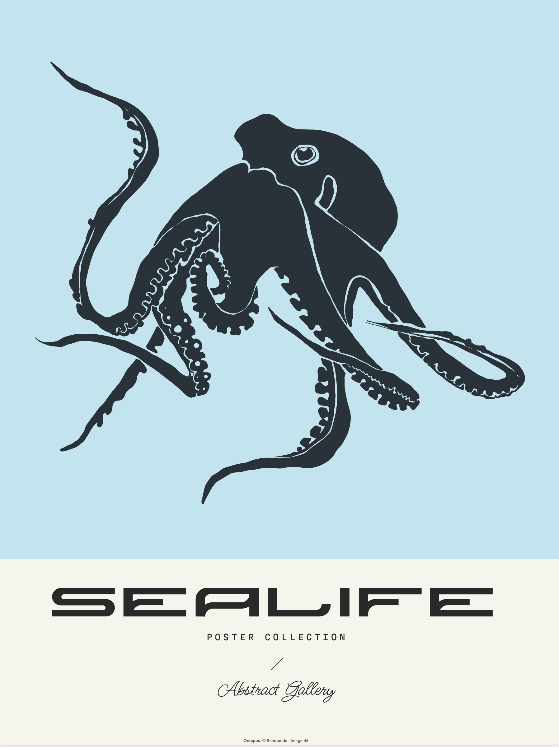 Sealife Collection - Octopus