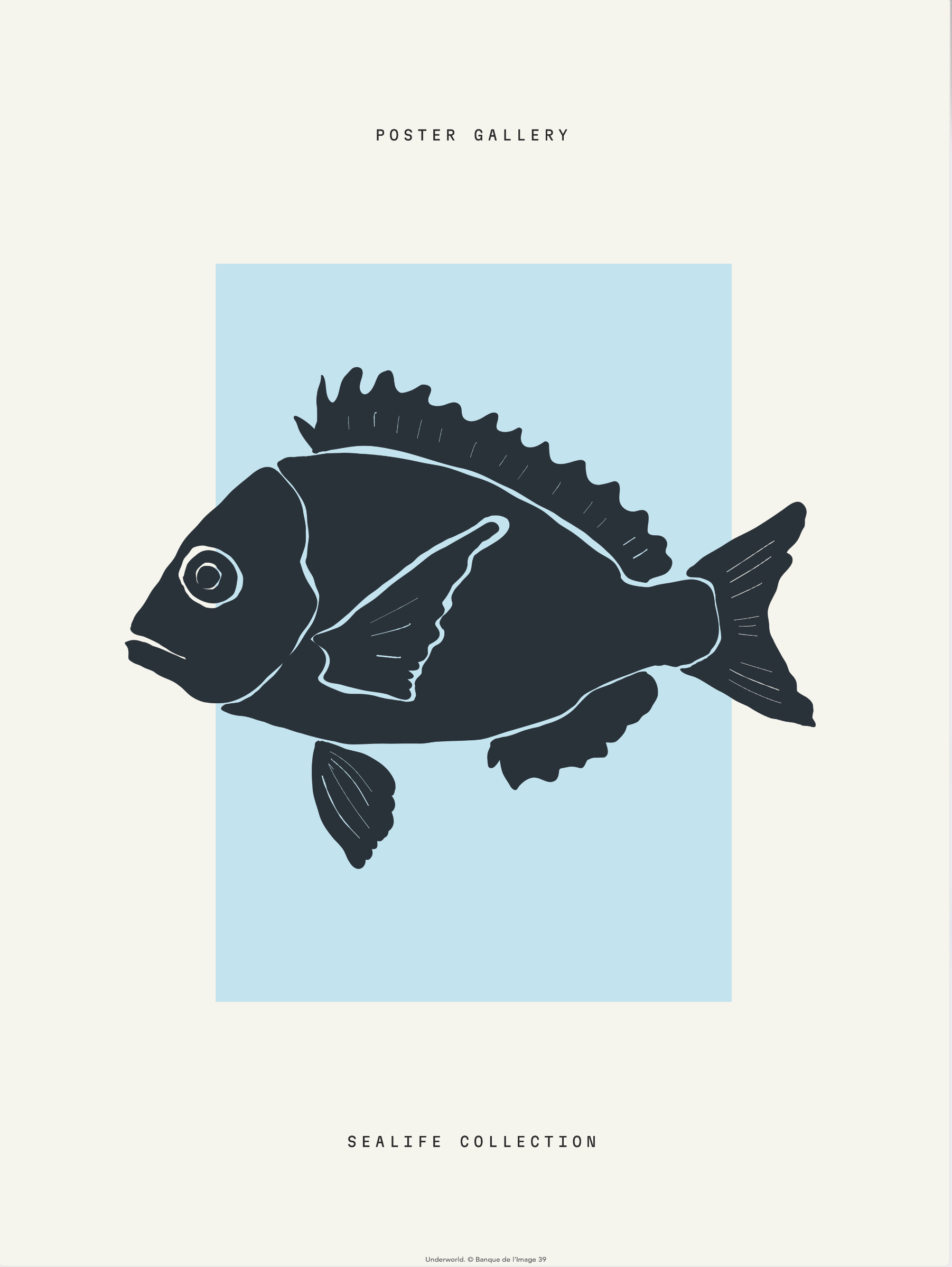 Sealife Collection - Poisson noir